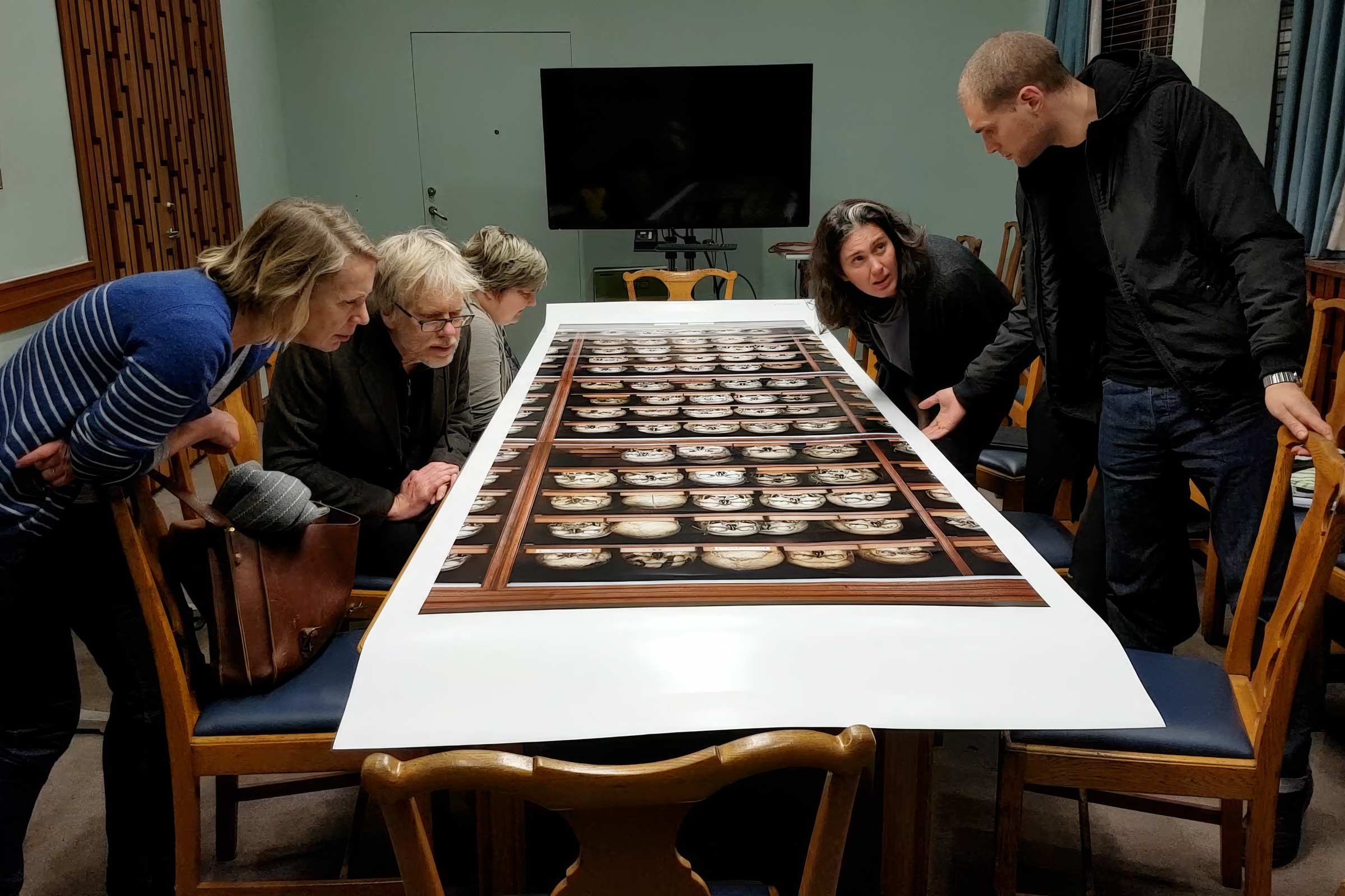Five people sitting and standing around a table, closely examining a long photograph of skulls arranged on shelves.