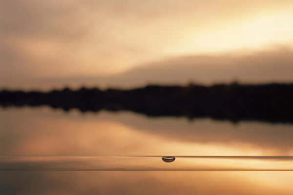 Leveled Landscapes