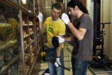 Two men holding a glass door in front of a cabinet with skulls on shelves