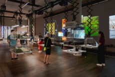 Several people looking at display cases in an exhibition space.